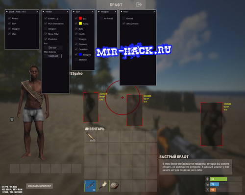 Чит DSoft FREE для игры Rust v2252 PIRATE