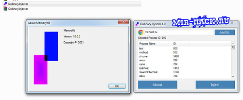 Инжектор Ordinary 1.0 для игр