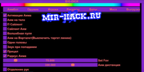 Бесплатный чит для Rust BIG DICK v2303